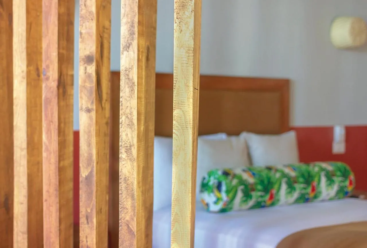 Hotel Albatros By Bedsfriends (Adults Only) à Cozumel
