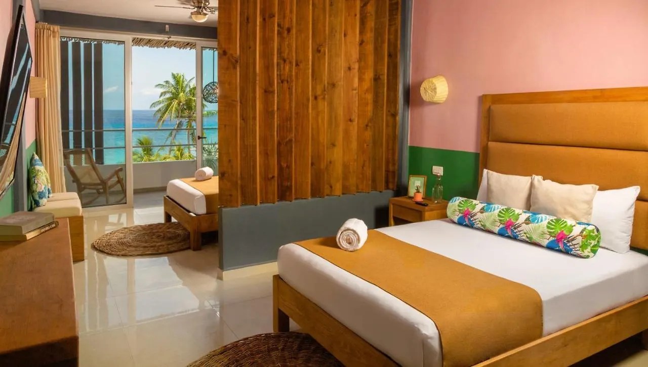Hotel Albatros By Bedsfriends (Adults Only) à Cozumel Mexique